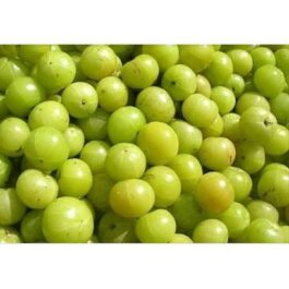 Fresh Assam Amlakhi (Amla/Gooseberry)