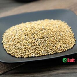 White Mustard – 100 gm