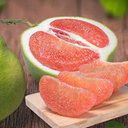 Jhambhura/Robab tenga -1pc